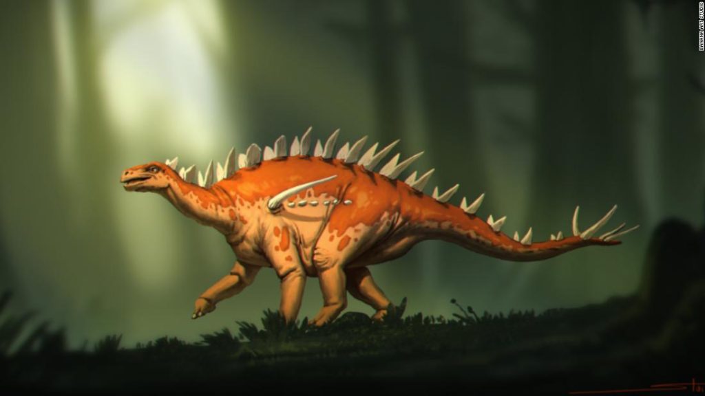 Entdeckte Stegosaurus-Fossilien weisen eine „seltsame Mischung von Merkmalen“ auf