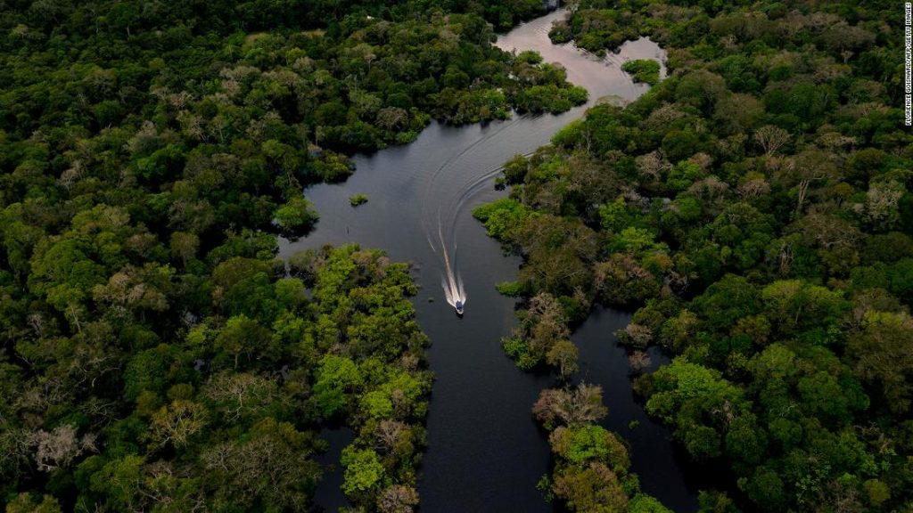 Eine neue Studie stellt fest, dass der Amazonas-Regenwald kurz vor dem Wendepunkt steht, in eine Savanne überzugehen
