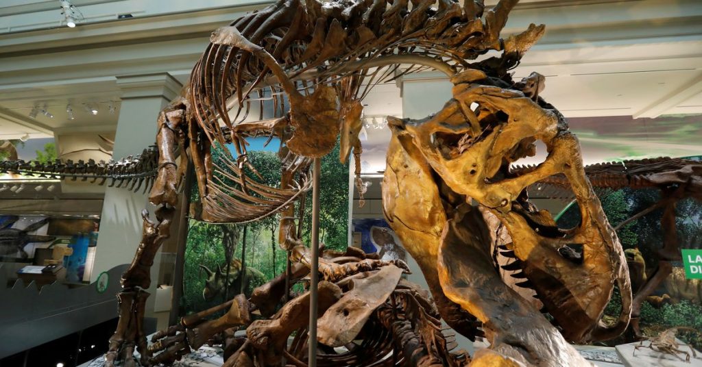 Wissenschaftler vermuten, dass Tyrannosaurus drei Arten hatte, nicht nur „Rex“