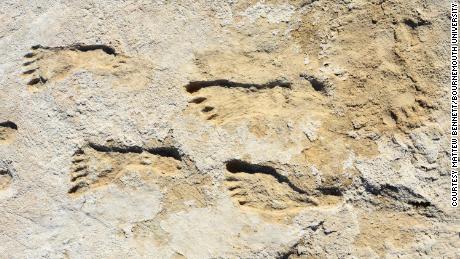 Versteinerte Fußabdrücke zeigen, dass Menschen Nordamerika viel früher erreichten als ursprünglich angenommen