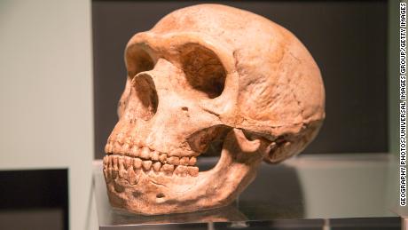 Wie DNA Neandertaler die menschliche Gesundheit beeinflusst – einschließlich des Risikos von Covid-19