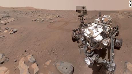 Ausdauer kann auf dem Mars so viel Sauerstoff produzieren wie ein kleiner Baum