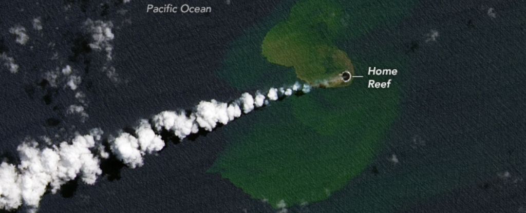 Nach einem Unterwasser-Vulkanausbruch ist im Pazifischen Ozean eine neue Insel entstanden: ScienceAlert