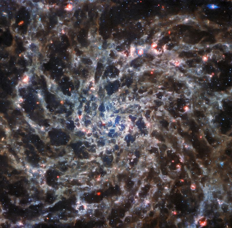 Spiralgalaxie, die vom Webb-Teleskop in „beispielloser Detailtreue“ aufgenommen wurde