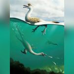 Eine neue Art von Pinguin-ähnlichen Dinosauriern wurde entdeckt
